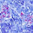 Detection of Mycobacterium bovis in mouse lungs 7 weeks post infection (modified Ziehl staining, magnification X 600). © INRAE, COCHARD Thierry